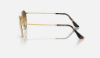 Ray-Ban RB3447 Round Metal 001/G5 Altin Rengi Güneş Gözlüğü yandan görünüm